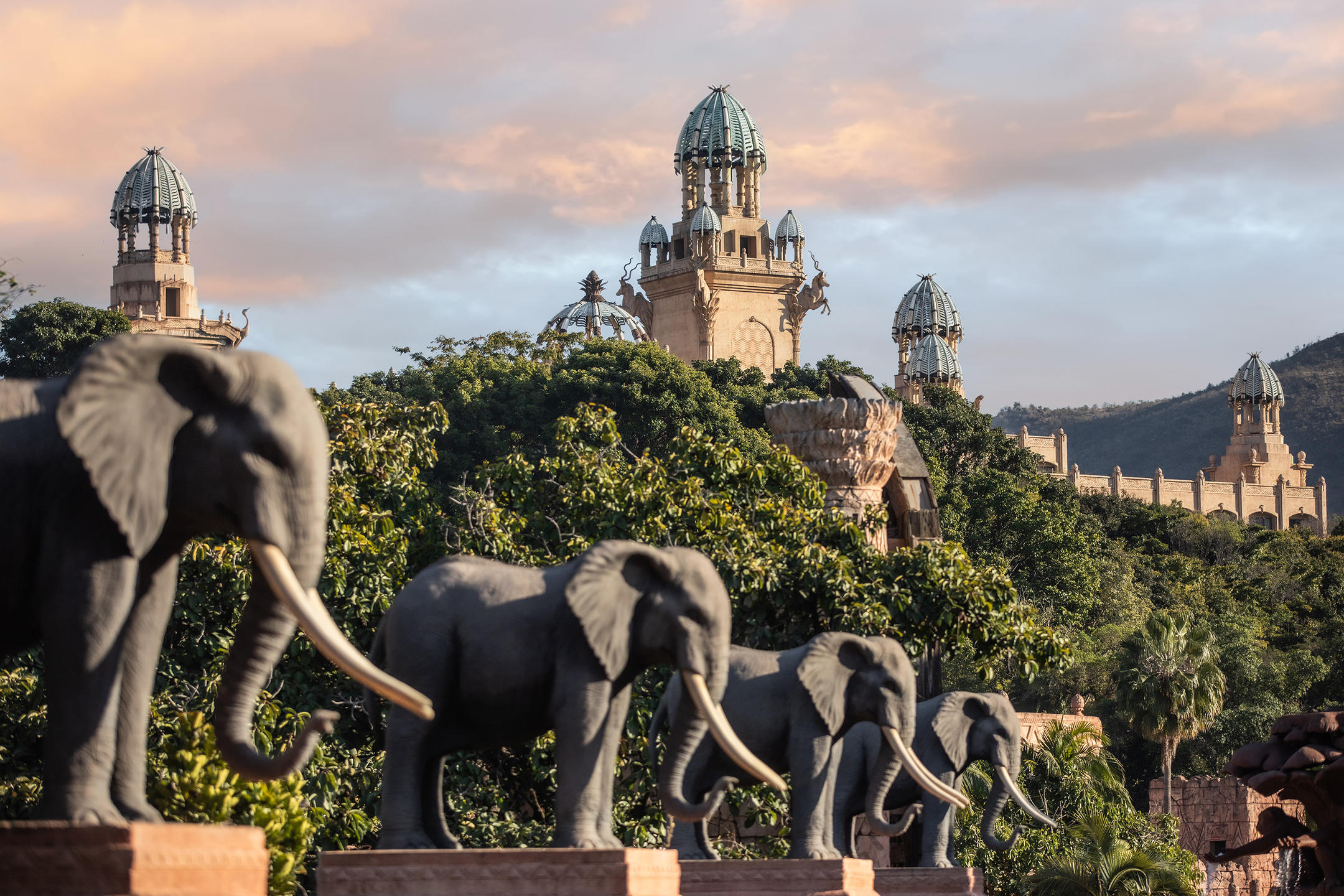Sun City activities